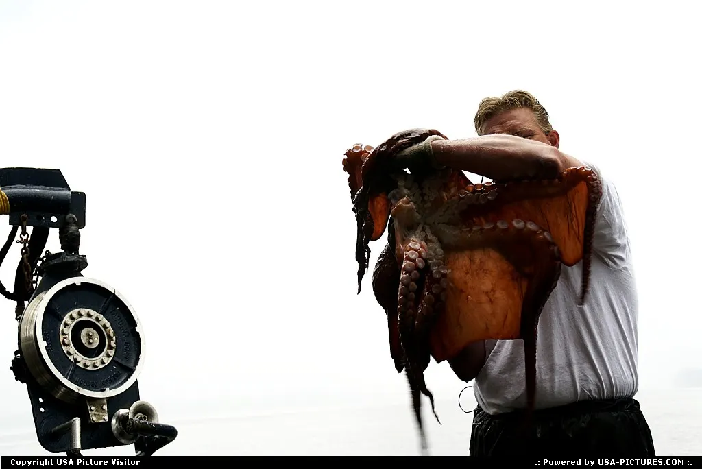 Crab fishing in Alaska, but this time it was no crab.