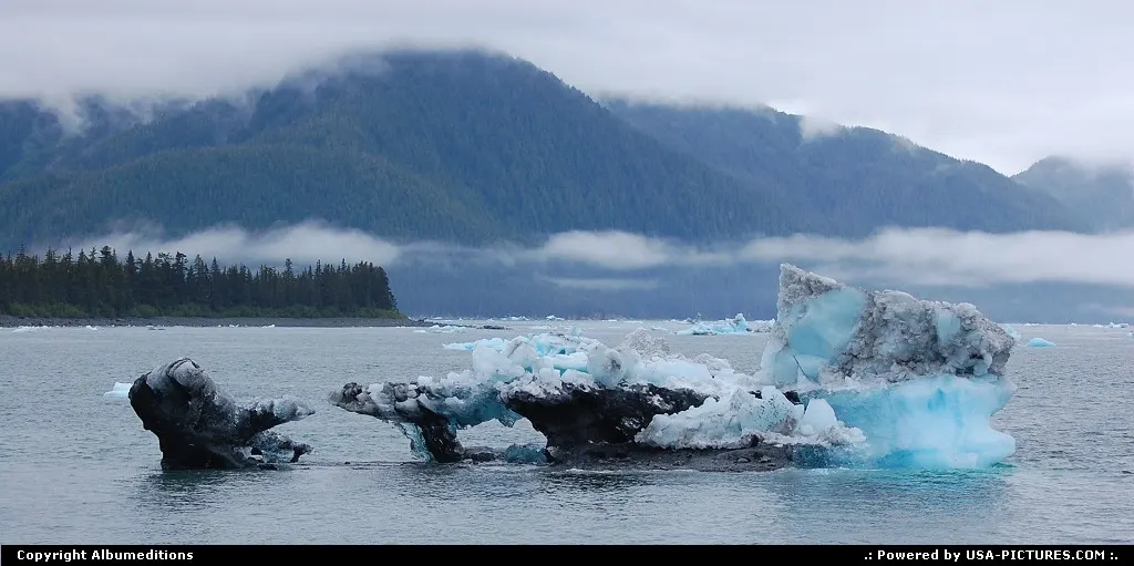 Ice from Columbia Glacier drifts in the chilly waters of Prince William Sound, Alaska.
