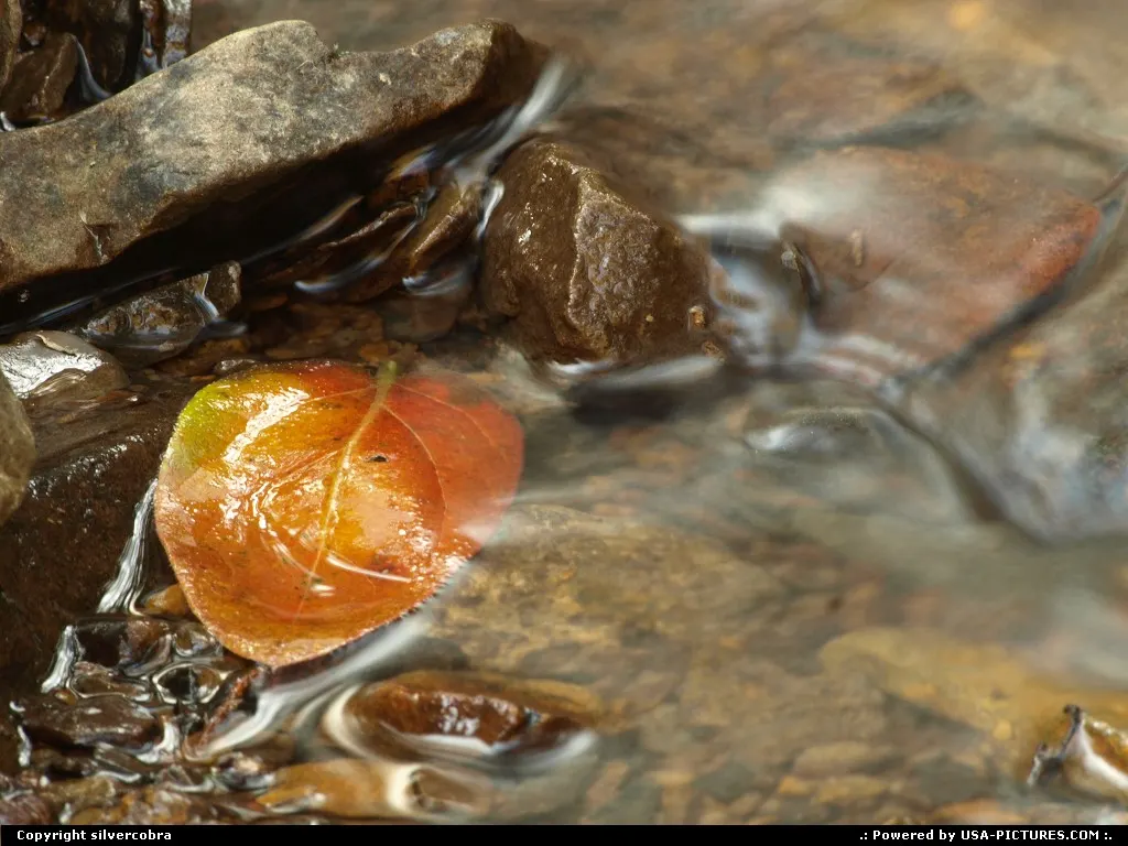Flow of Nature