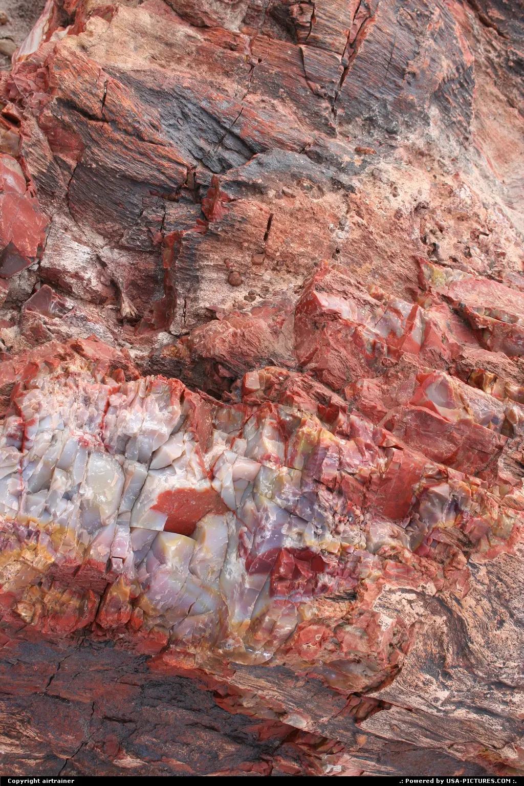 close-up of a petrified wood, showing Mother Nature's work... Amazing !