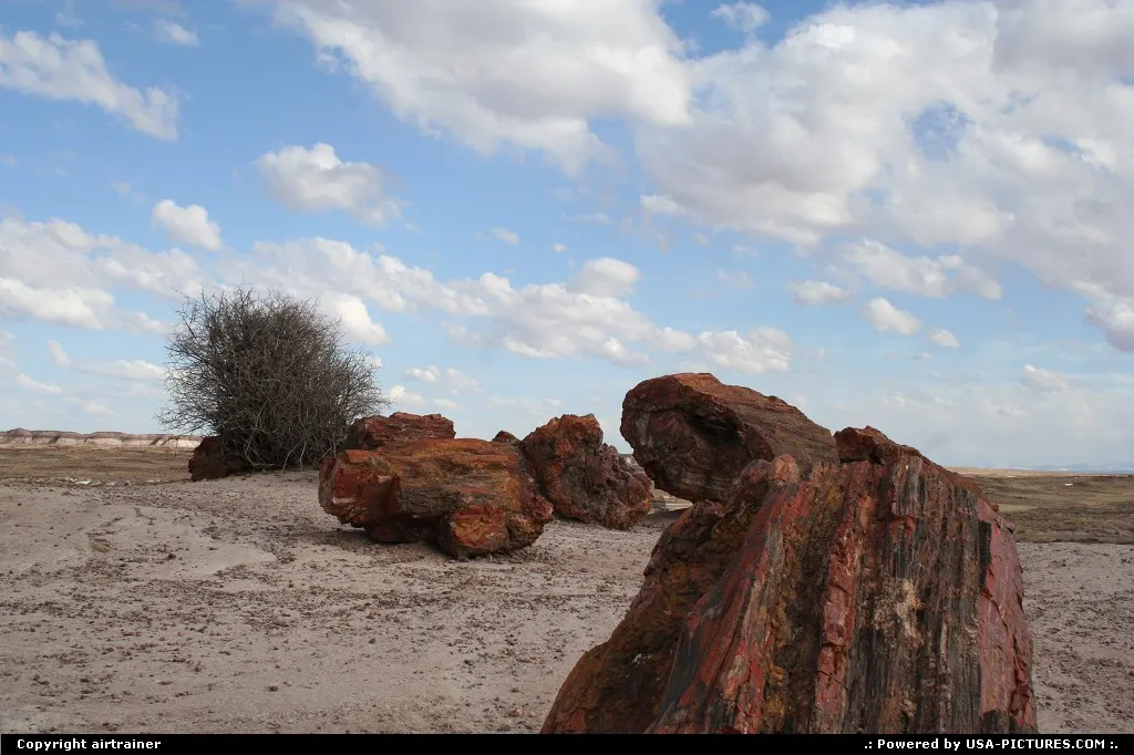 petrified woods at the Petrified Forest National Park, almost in the middle of nowhere...
