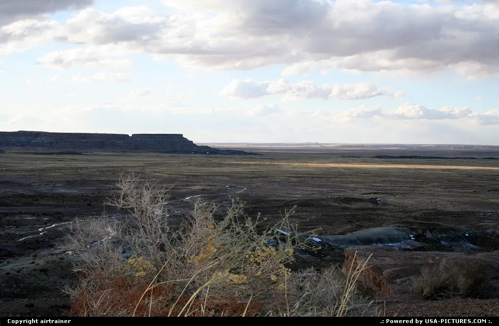 Petrified Forest, worth a visit even in winter !