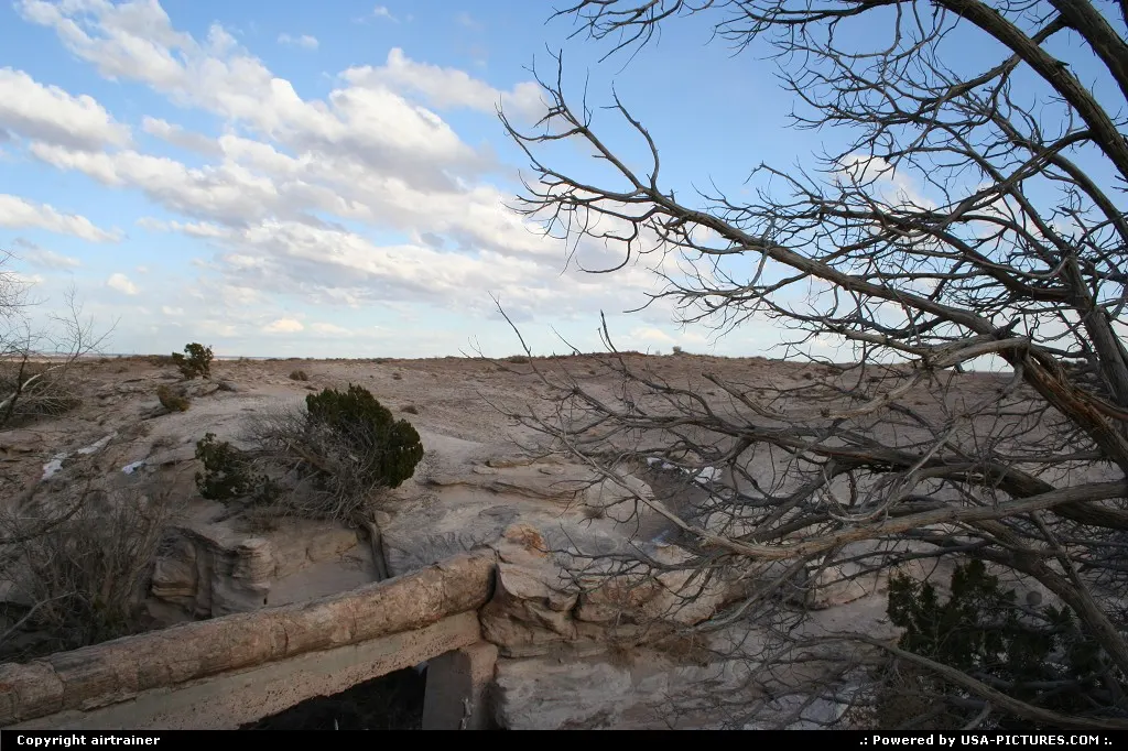 Petrified Forest NP, the famous Agate Bridge