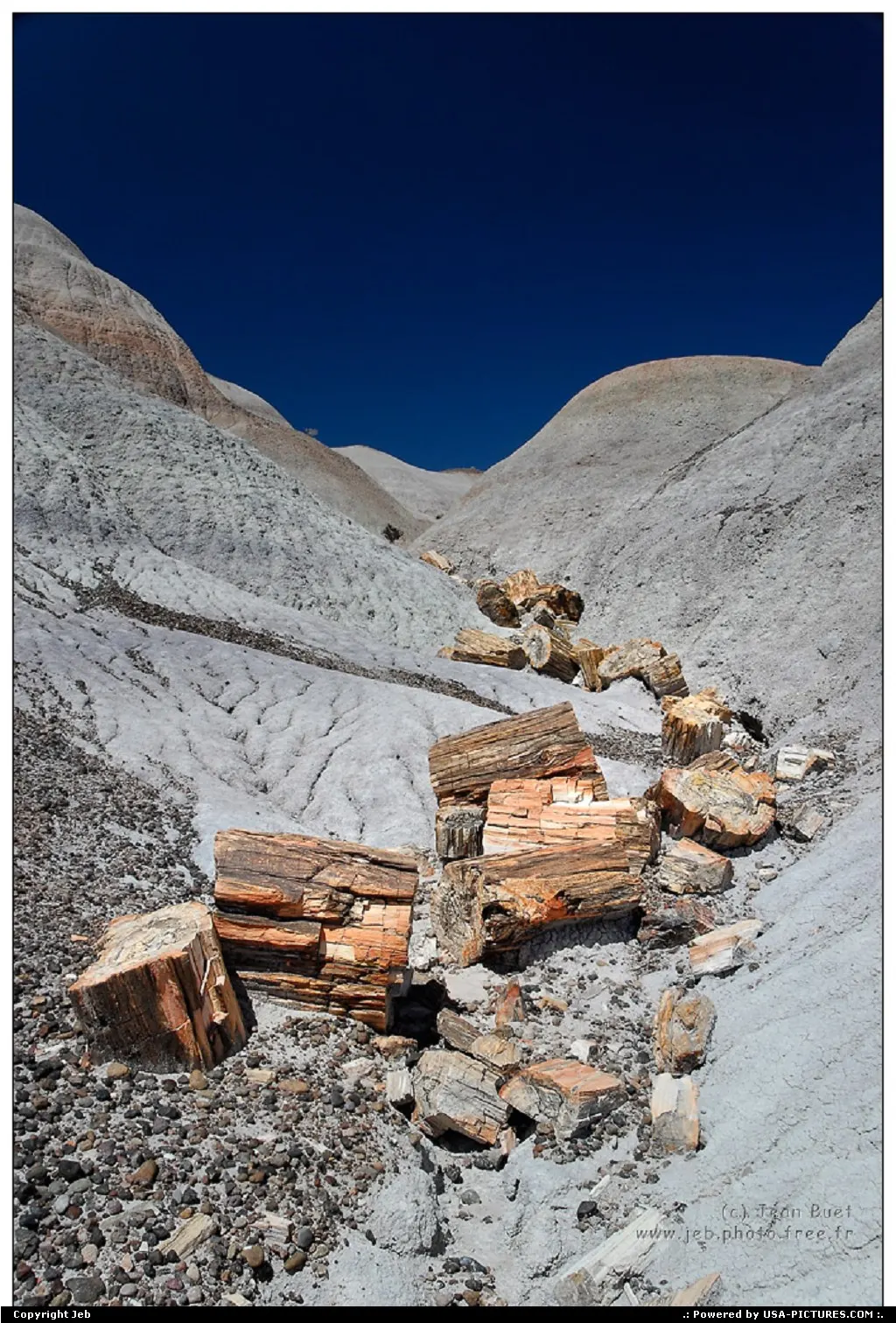 Arizona Petrified Forest