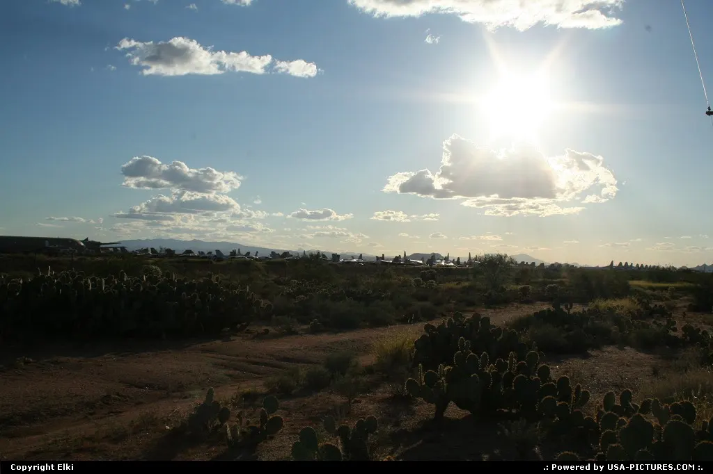 Where the sun is not an option. Wings and Cactus.