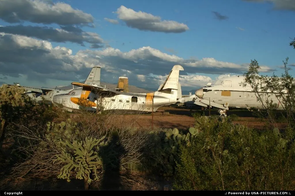 One of the several boneyard near Tucson.