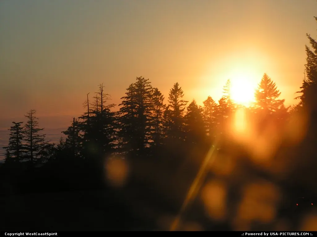 Sunset in the park