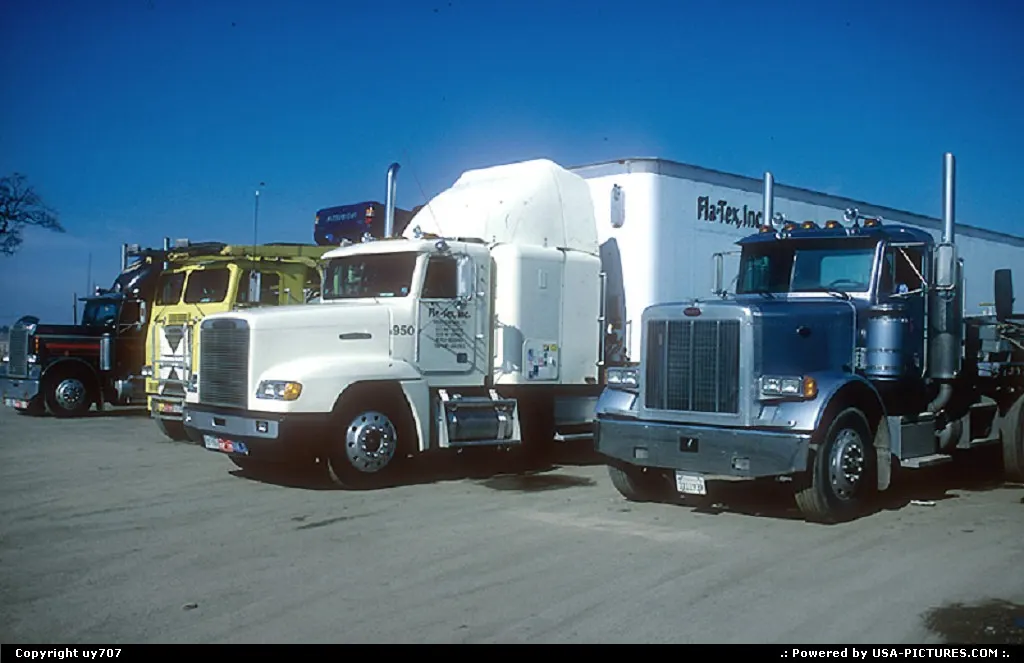 A gathering of tractors and their trailers.