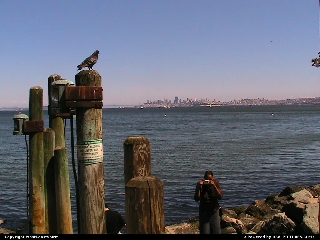 Another view of the Bay and the San Francisco Skyline from Sausalito.