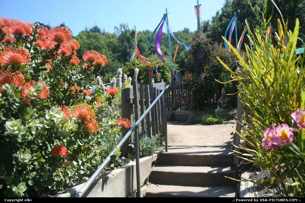 Flowered welcome at big sur baker restaurant