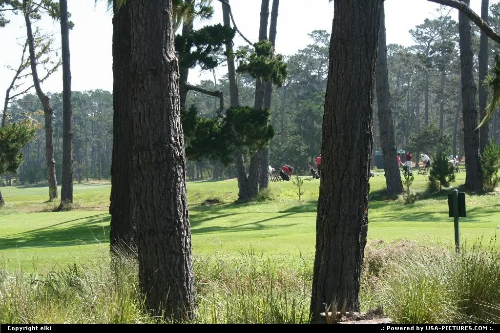 Pebble beach golf