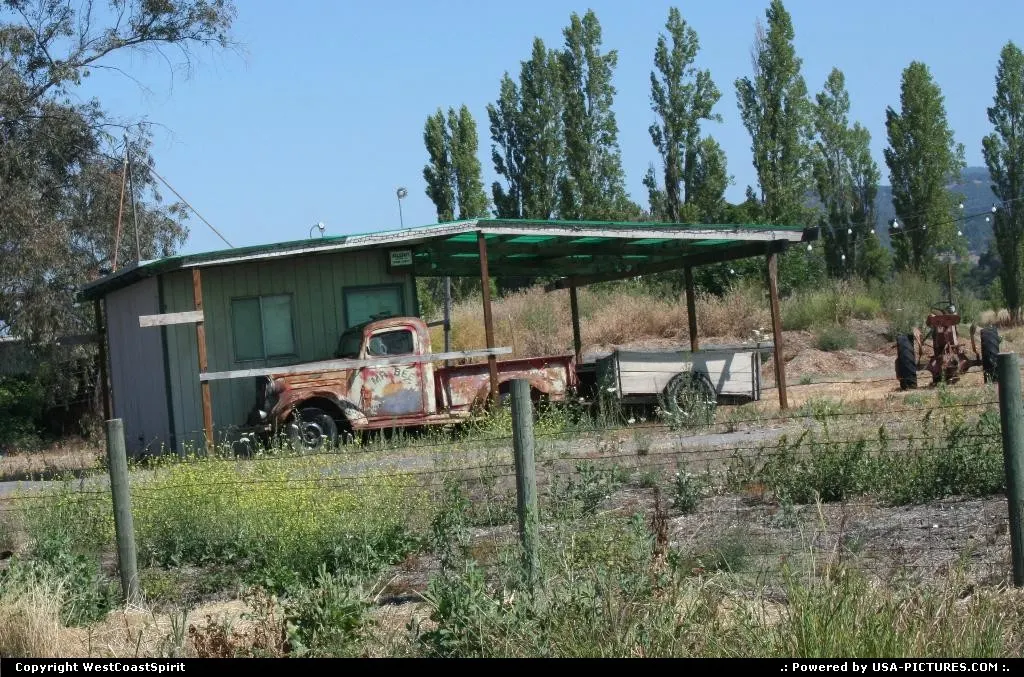 Rusted pickup truck resting in a yard in Sonoma