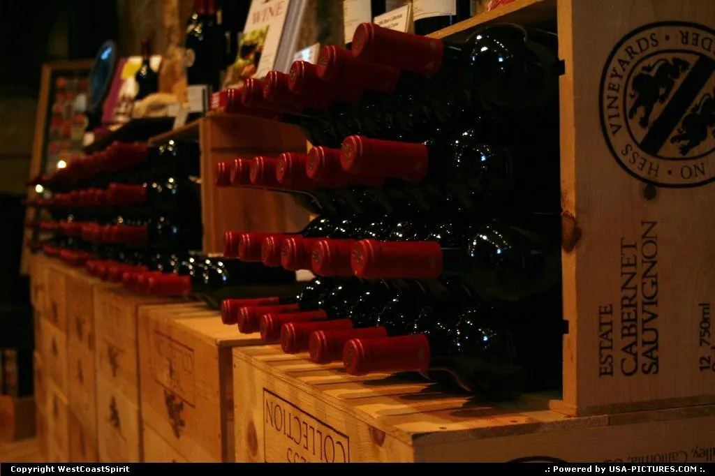 Wine tasting in Napa Valley. Here a the Hess Collection winery.