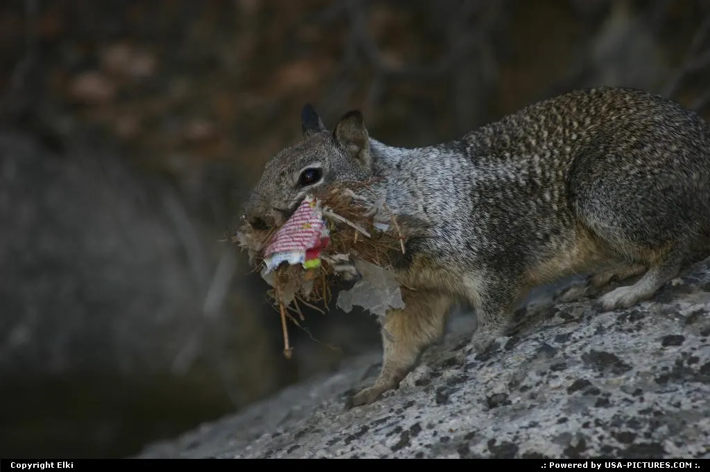 Too bad he is carrying garbage…