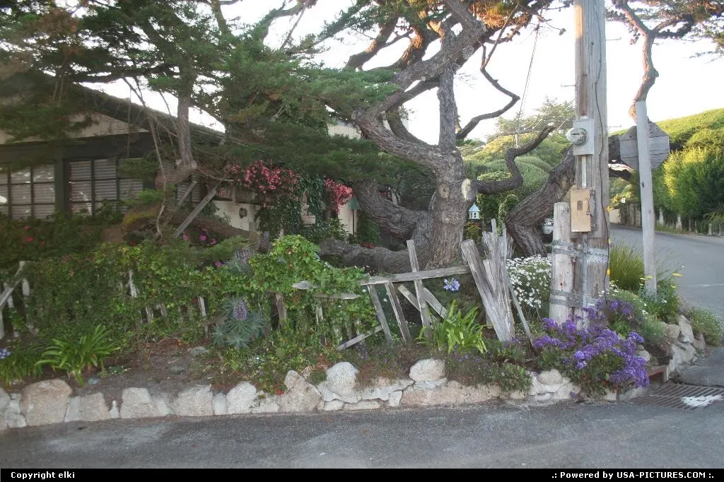 The boss in carmel : mother nature, many houses are built in a really close harmony wit...