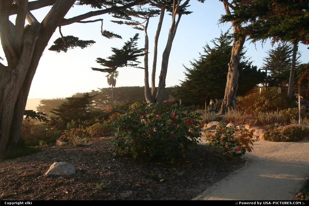 Carmel beach