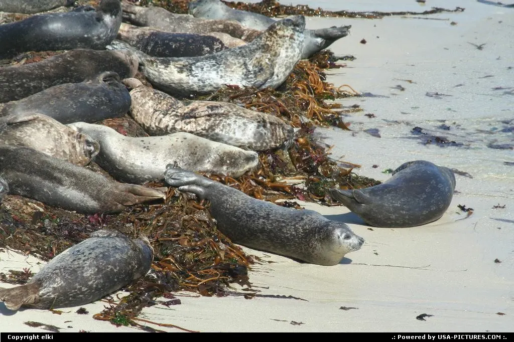 Afternoon nap, coast along 17 mile drive between Carmel and Monterey.