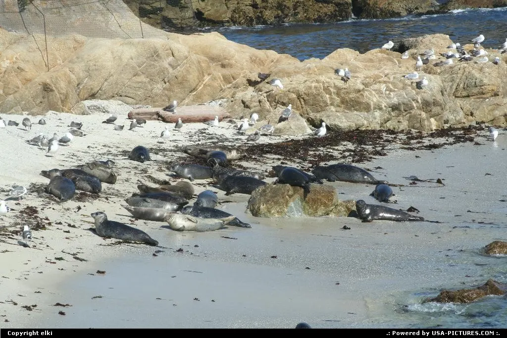Afternoon nap, coast along 17 mile drive between Carmel and Monterey.