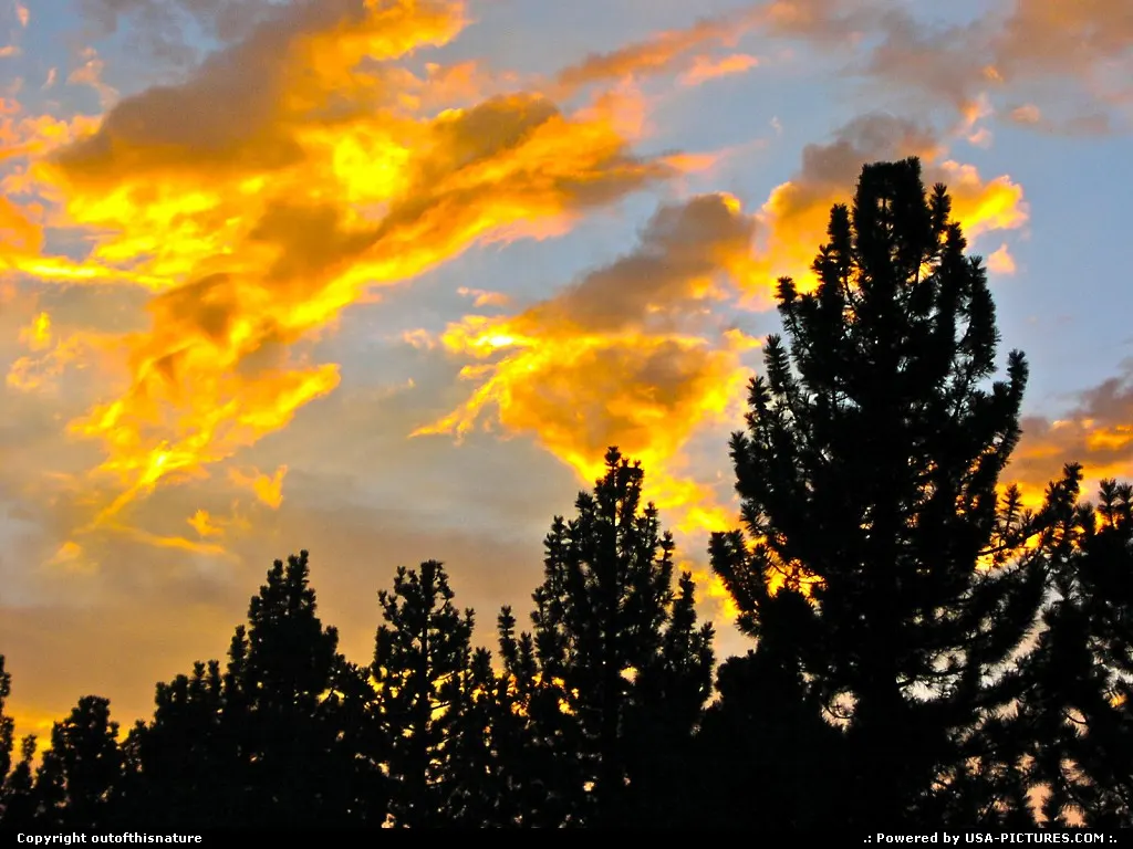 Fire in the sky