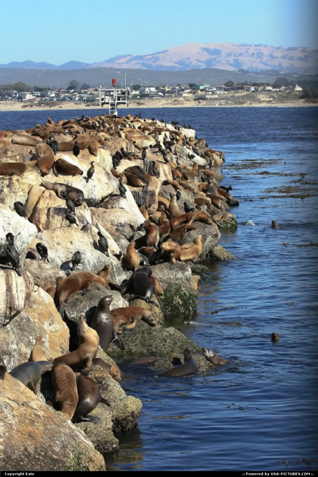 Monterey California