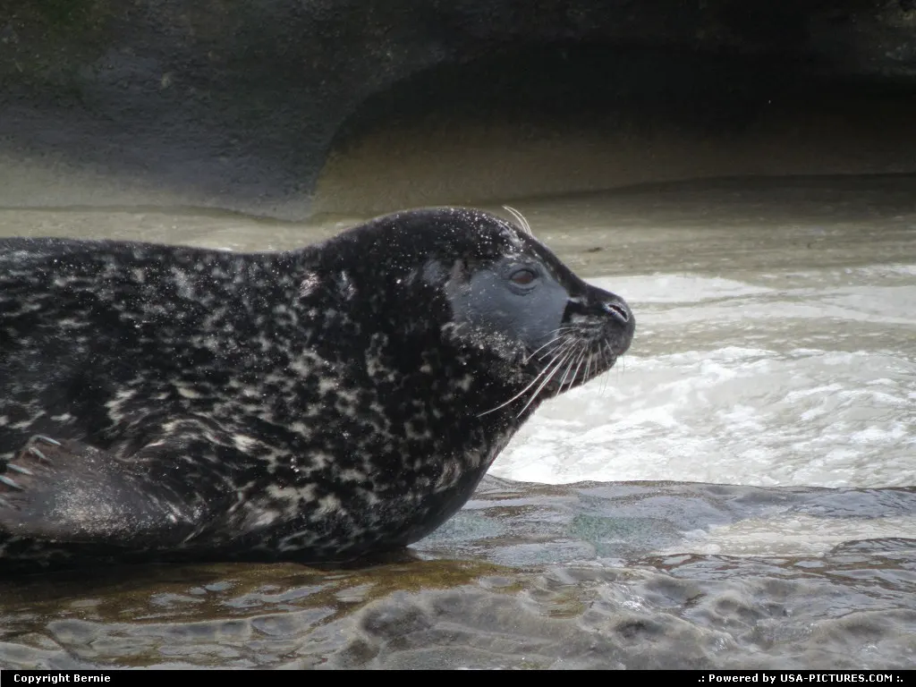 La Jolla California