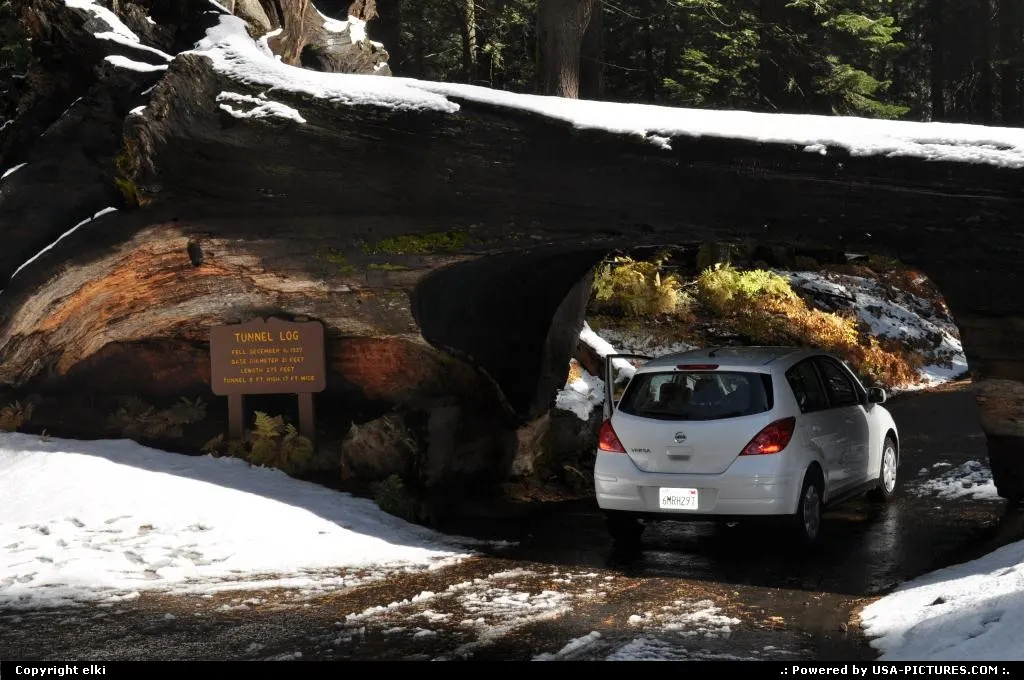 sequoia national park, tunel log