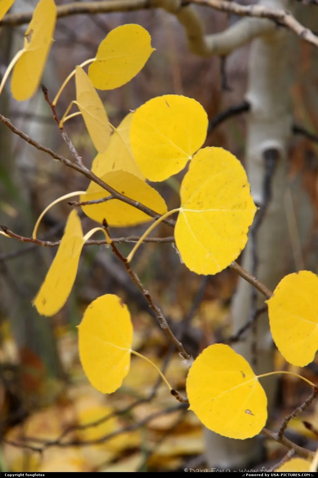 Taken outside Sorensen's all-season resort in the High Sierra.