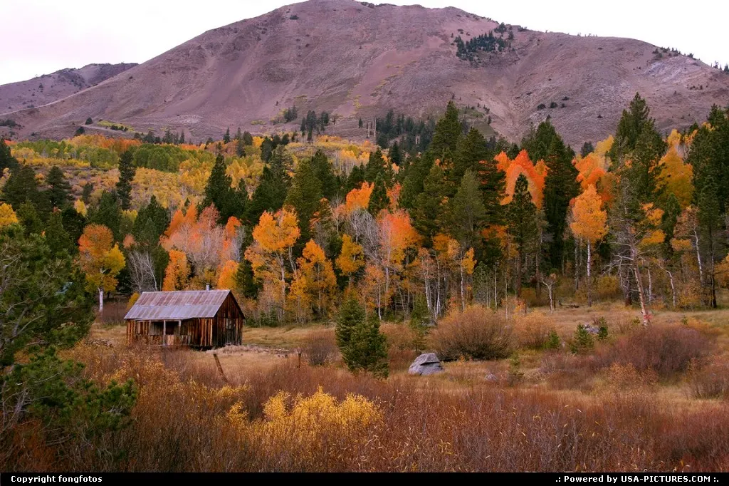 Along Hwy 88 between Hope Valley and Jackson