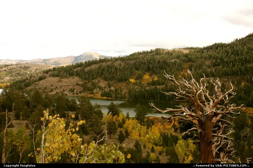 Caples Lake - Along Hwy 88 between Hope Valley and Jackson