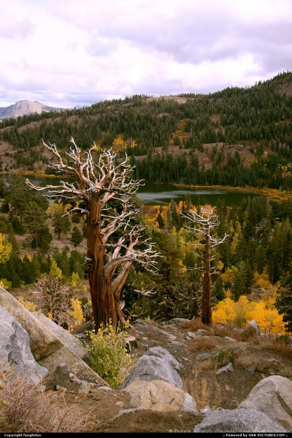 Caples Lake - Along Hwy 88 between Hope Valley and Jackson