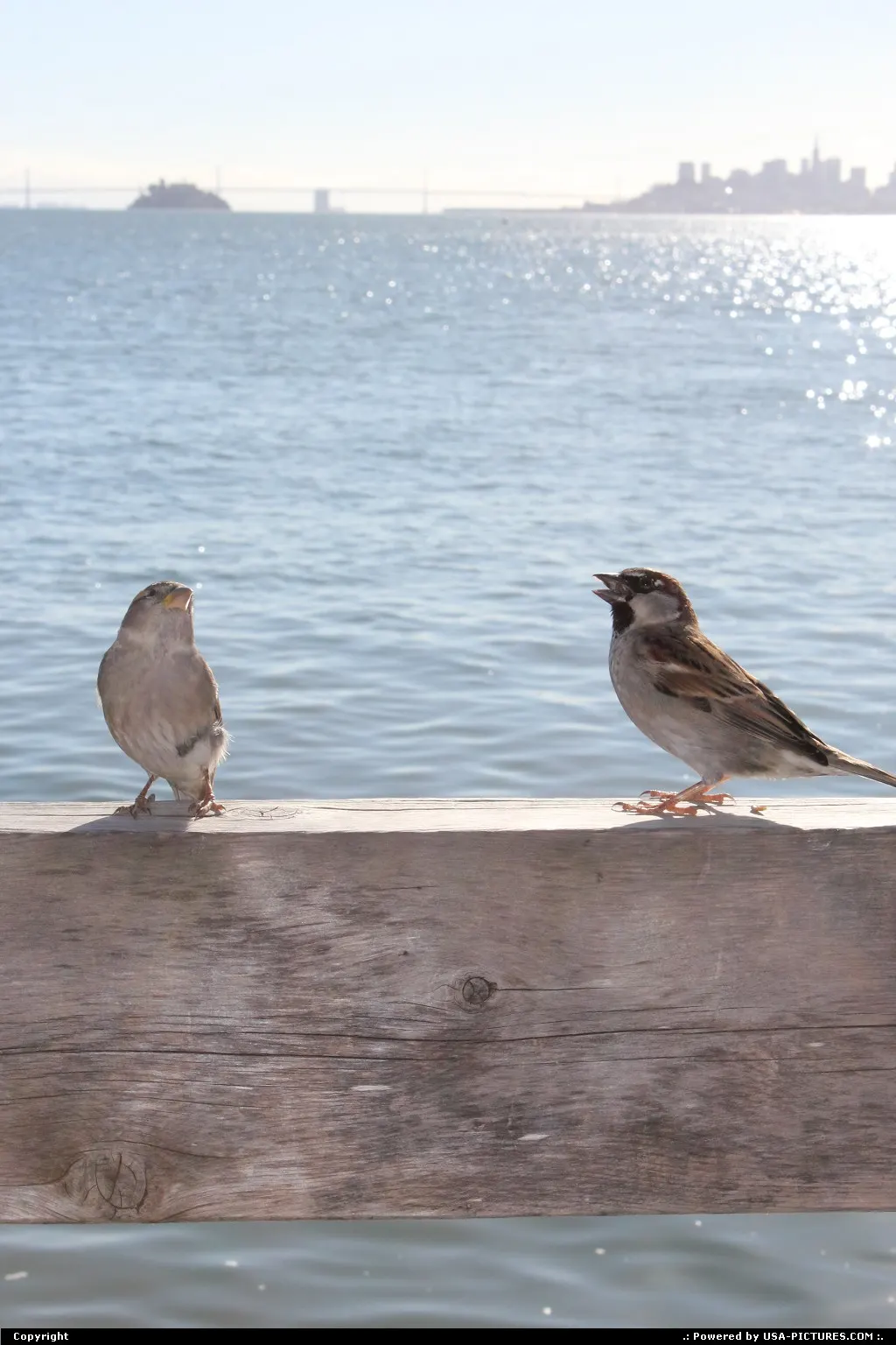 Sausalito California