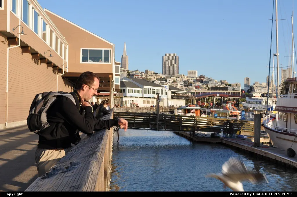 Watch out, you better eat your churros before a sea gull does !! Sea Gull attack @ Pier 39