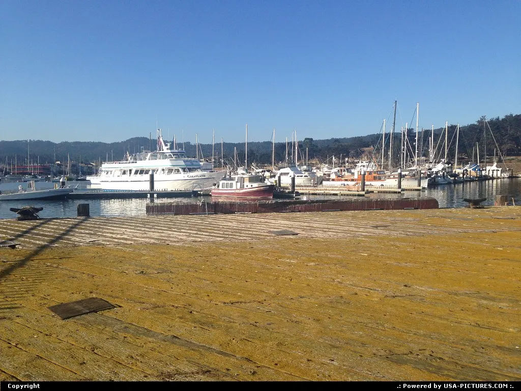 The docks/piers