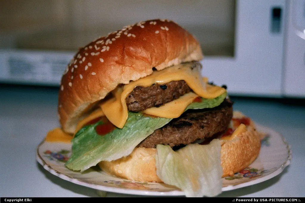 Homemade double cheeseburger. Enjoy!
