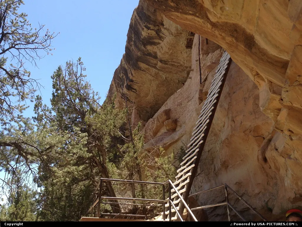 Climb that impressive ladder and you'll have the privilege to visit Balcony House.
