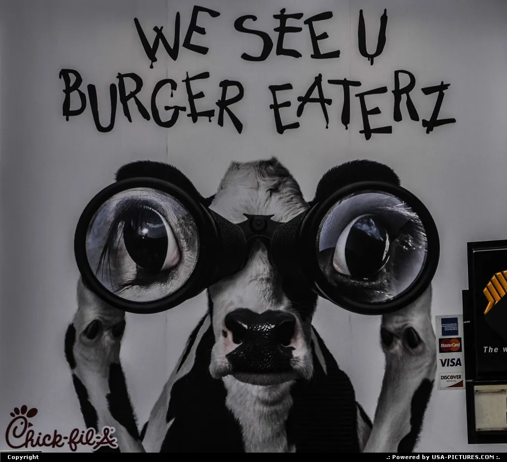 One of these funny ads ... Just love these eyes magnified by the binoculars...