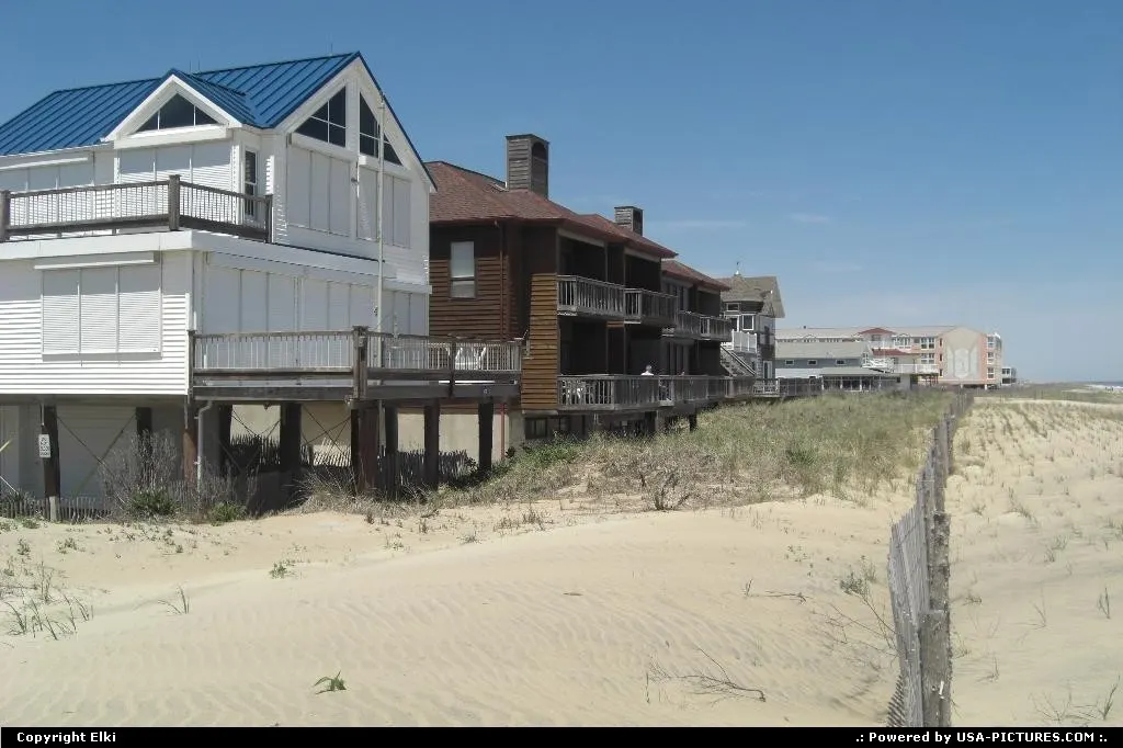 Coastal Houses