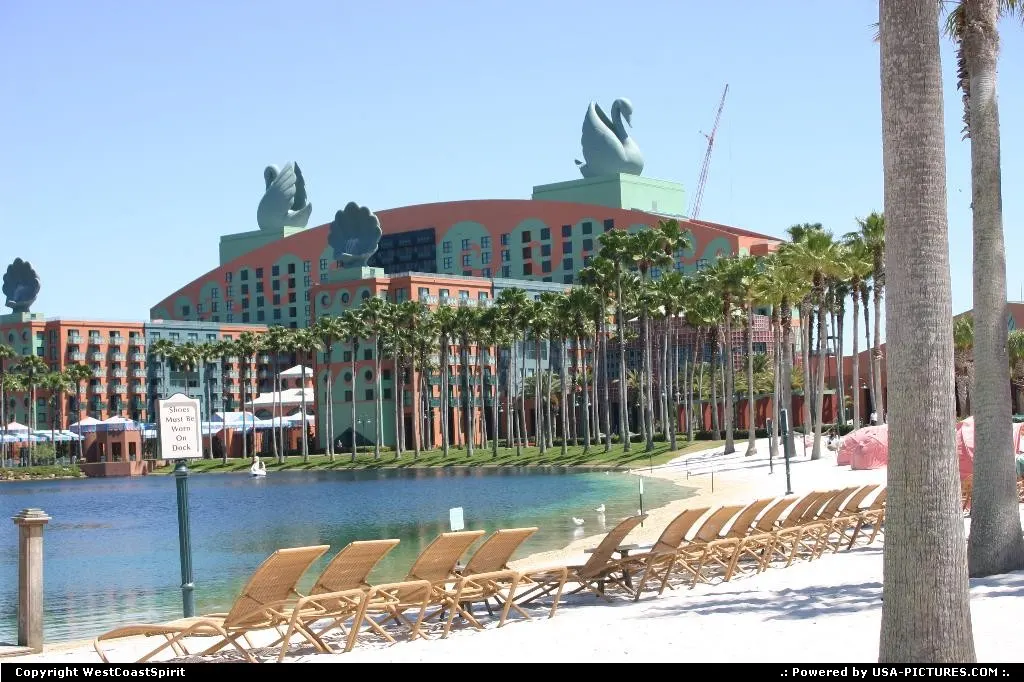 The Swan and Dolphin resort in Disney. There is also a fantastic pool behind