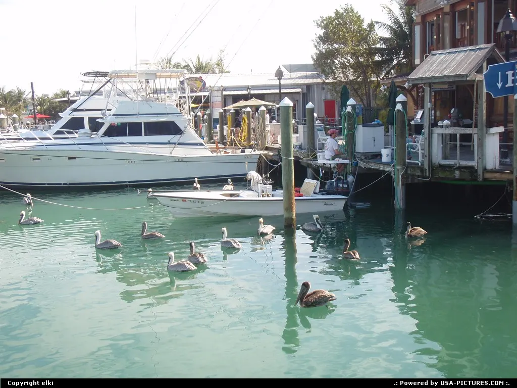 marina key west