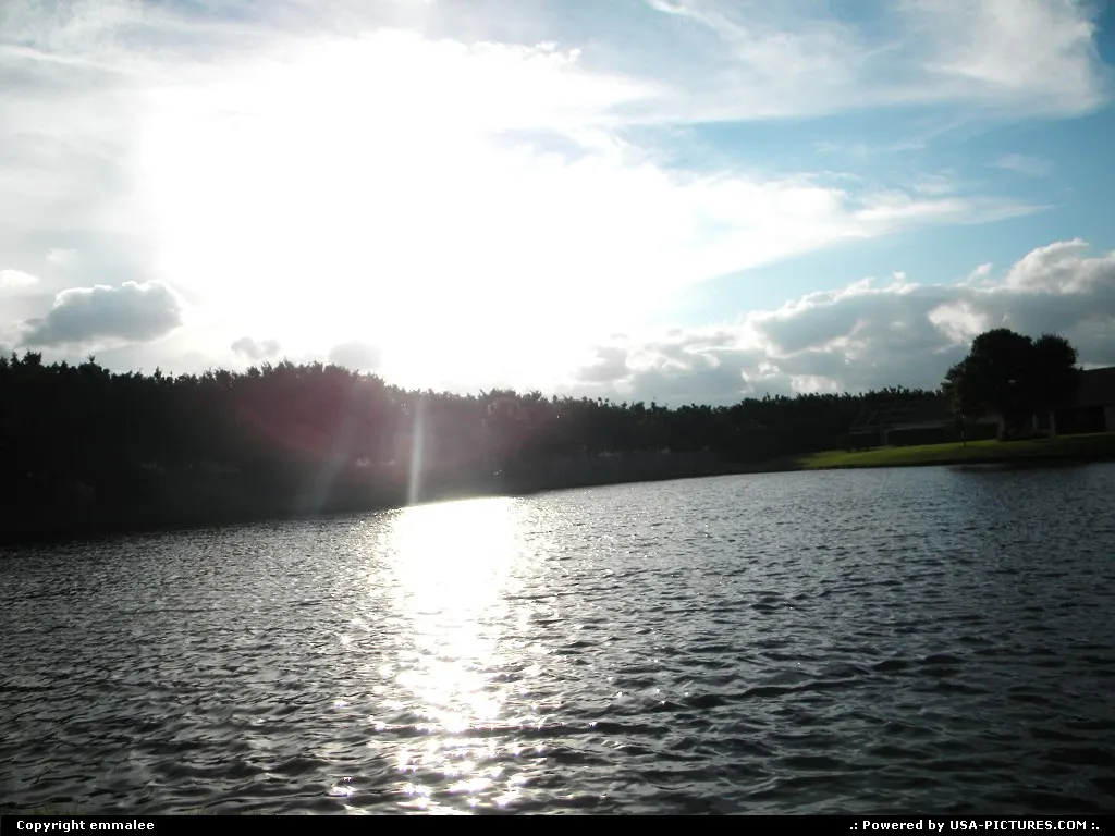 During the winter in Florida, there's still sun covering the ground.
