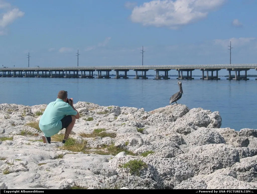 Pelican-watching in the Florida Keys. For webgallery: www.caribbean-editions.nl