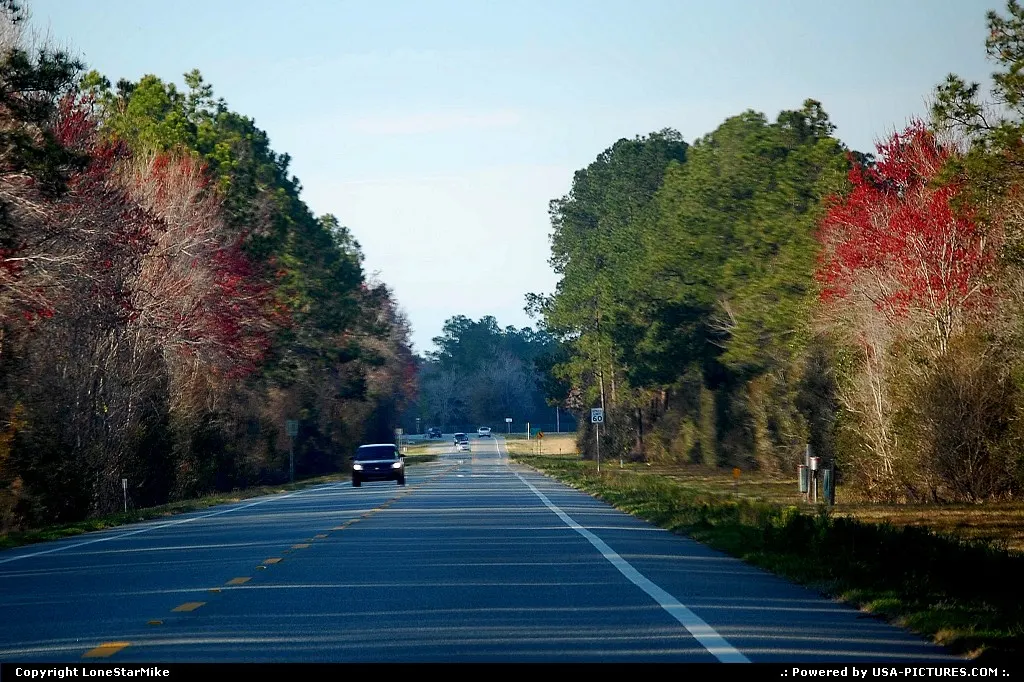 Country road between Gainesville and Jacksonville