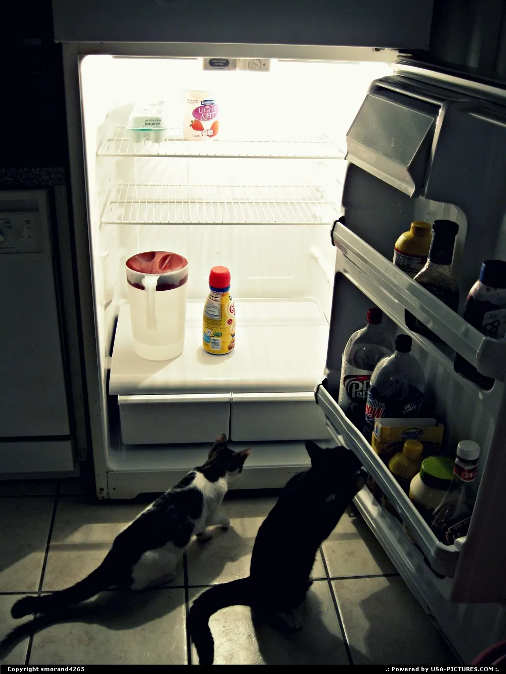Late Night Snackers
