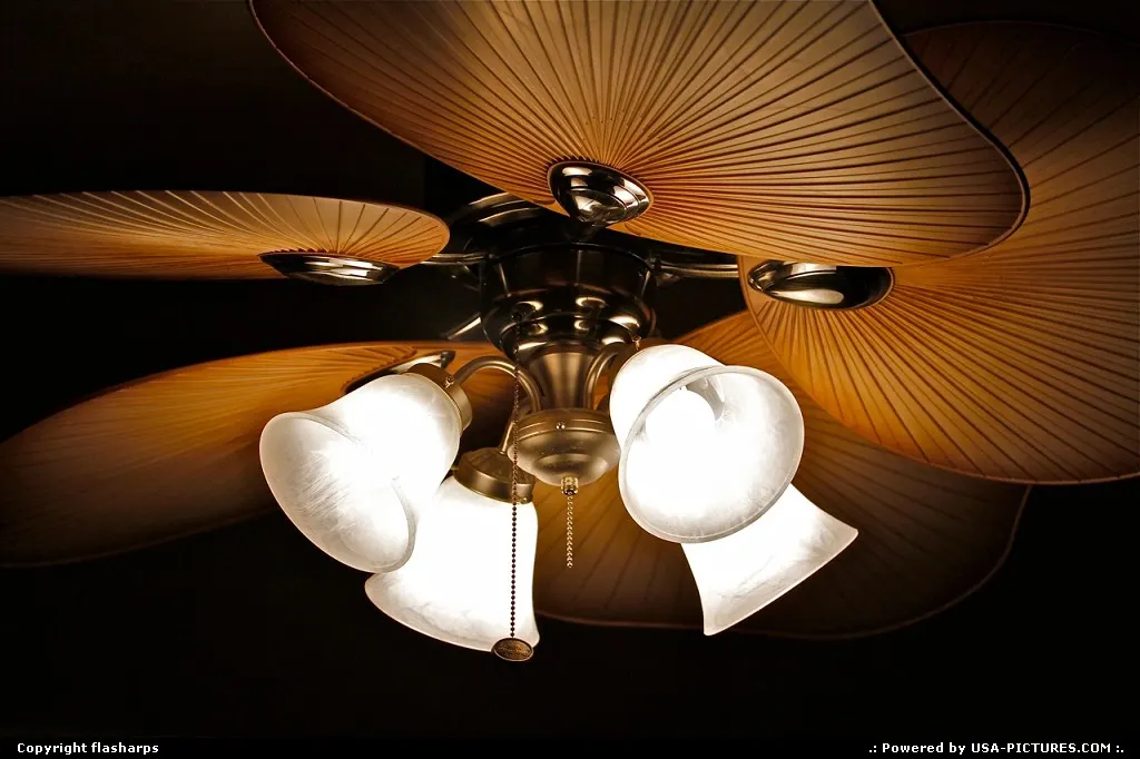 Ceiling Fan