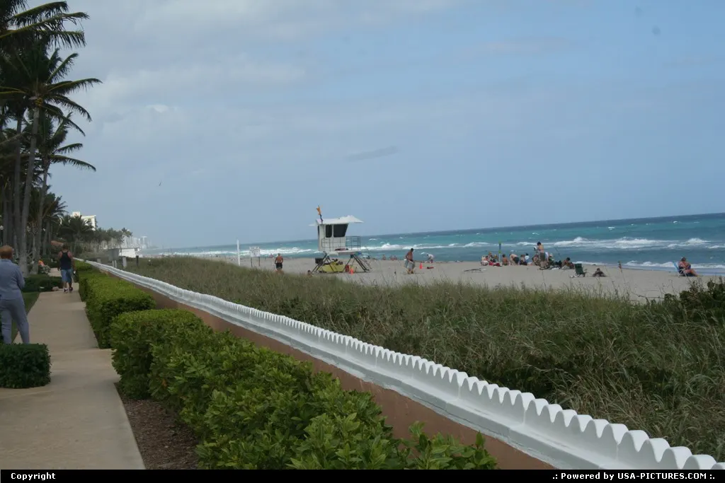 Palm beach