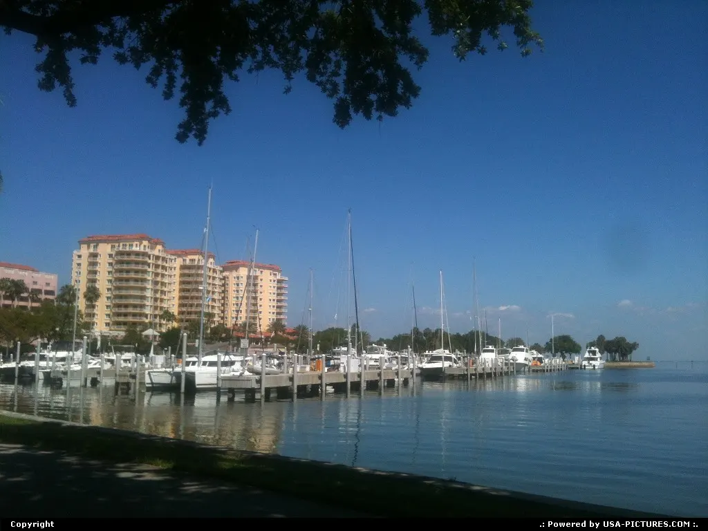Saint Petersburg Florida Harbor