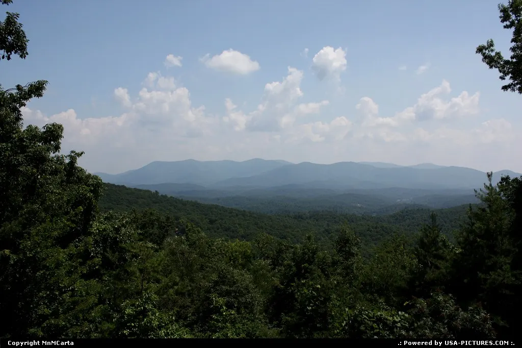 The view from the back porch of a cabin we rented.