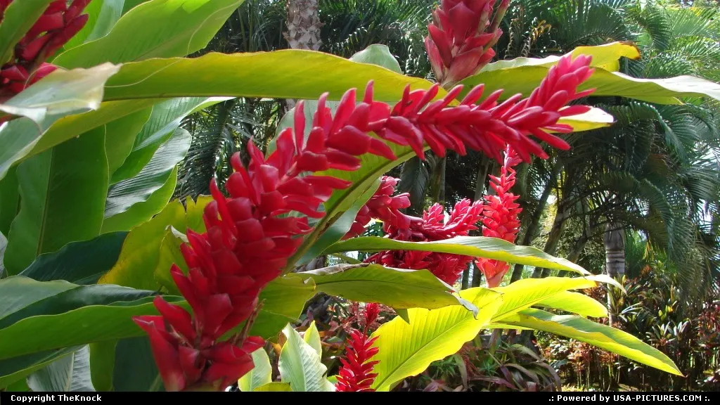 Honolulu Hawaii