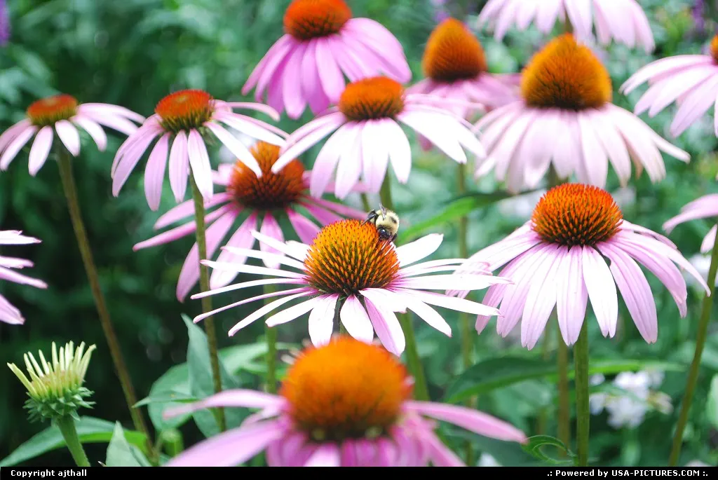 One of my best shots ever! Taken with my new Nikon D60! LOVE this one!
