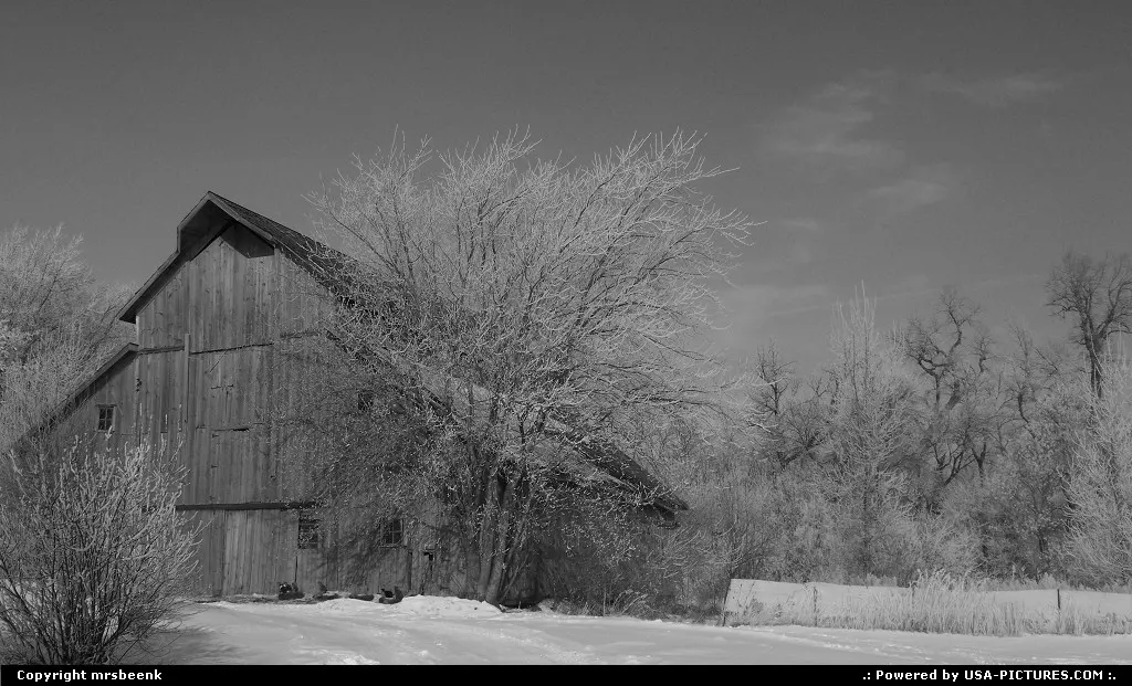 Turn of the century barn on a frosty day, black and white
